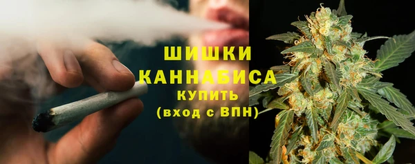 мдпв Дмитров