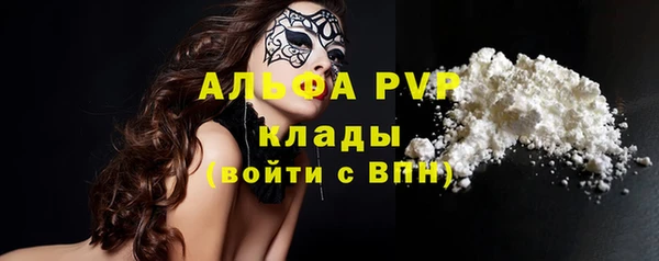 мяу мяу мука Елабуга