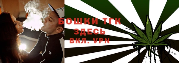 мяу мяу мука Елабуга