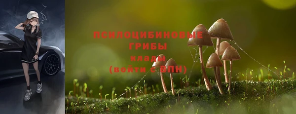 круглые Елизово