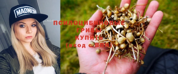 мяу мяу мука Елабуга